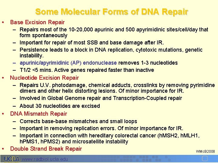 Some Molecular Forms of DNA Repair • Base Excision Repair • • • –