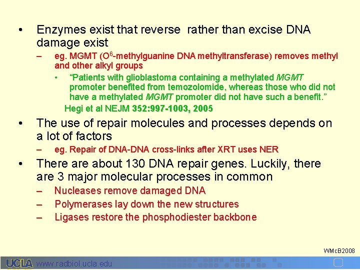  • Enzymes exist that reverse rather than excise DNA damage exist – •