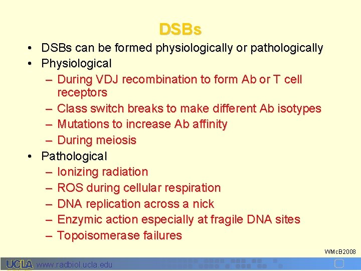 DSBs • DSBs can be formed physiologically or pathologically • Physiological – During VDJ