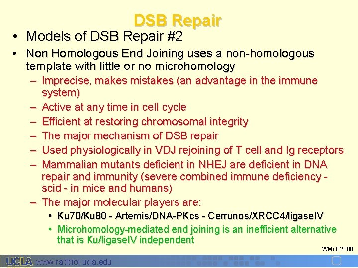 DSB Repair • Models of DSB Repair #2 • Non Homologous End Joining uses