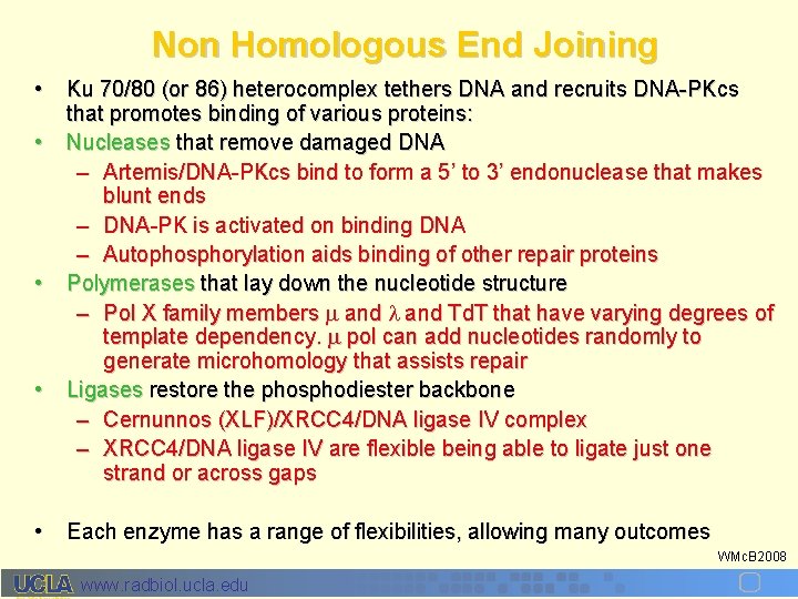Non Homologous End Joining • • • Ku 70/80 (or 86) heterocomplex tethers DNA