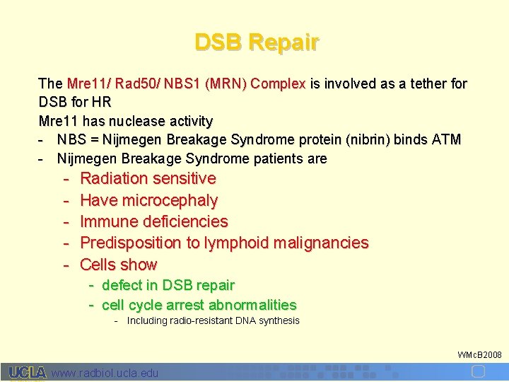 DSB Repair The Mre 11/ Rad 50/ NBS 1 (MRN) Complex is involved as
