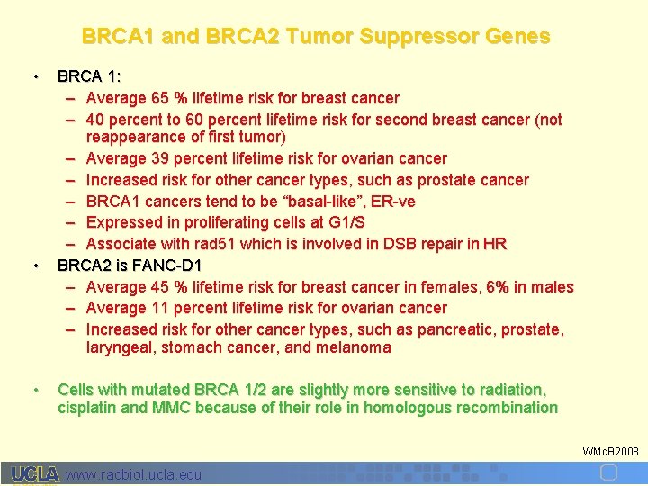 BRCA 1 and BRCA 2 Tumor Suppressor Genes • • • BRCA 1: –