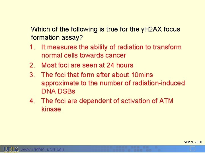 Which of the following is true for the H 2 AX focus formation assay?