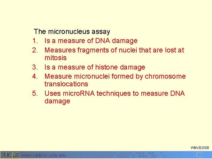 The micronucleus assay 1. Is a measure of DNA damage 2. Measures fragments of