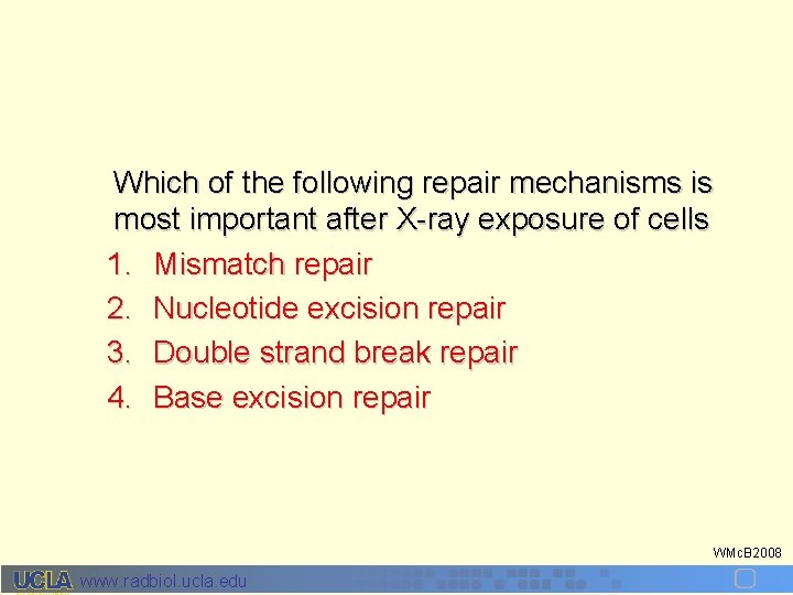 Which of the following repair mechanisms is most important after X-ray exposure of cells