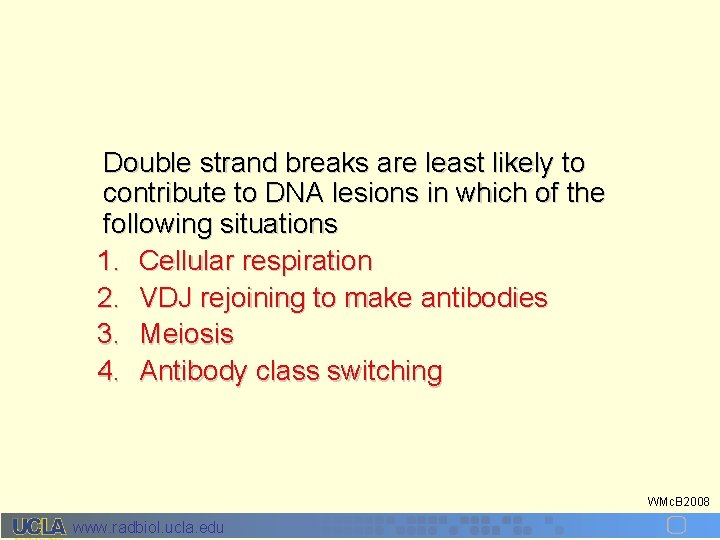 Double strand breaks are least likely to contribute to DNA lesions in which of