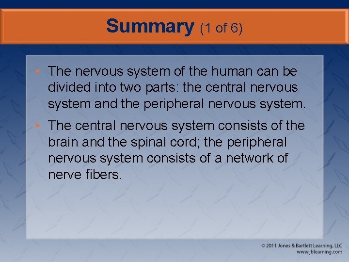 Summary (1 of 6) • The nervous system of the human can be divided