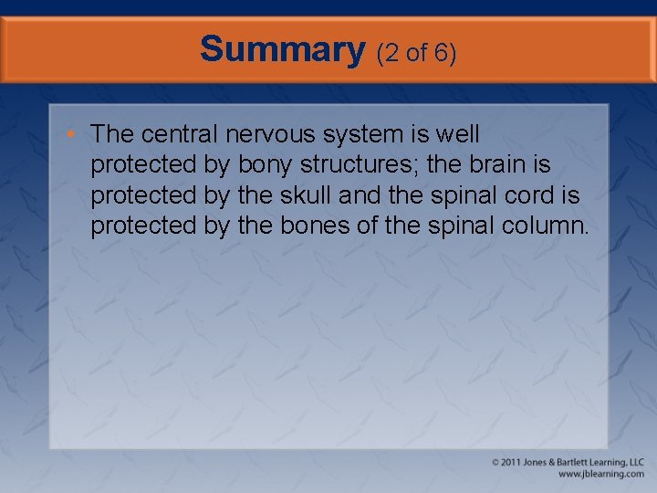 Summary (2 of 6) • The central nervous system is well protected by bony