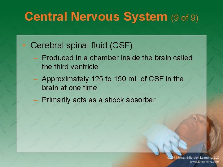 Central Nervous System (9 of 9) • Cerebral spinal fluid (CSF) – Produced in