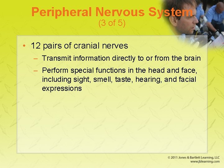 Peripheral Nervous System (3 of 5) • 12 pairs of cranial nerves – Transmit