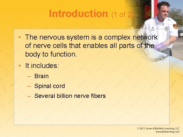 Introduction (1 of 2) • The nervous system is a complex network of nerve