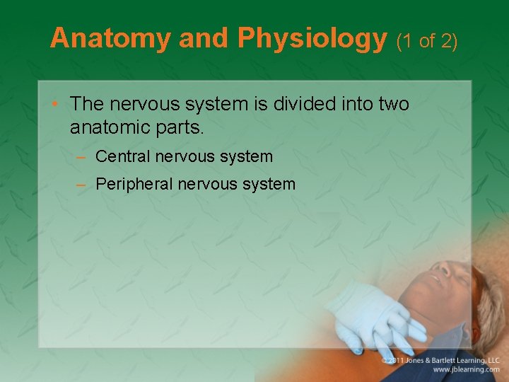 Anatomy and Physiology (1 of 2) • The nervous system is divided into two