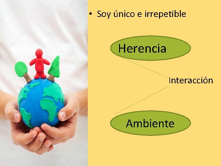 • Soy único e irrepetible Herencia Interacción Ambiente • Soy único e irrepetible Herencia Interacción Ambiente