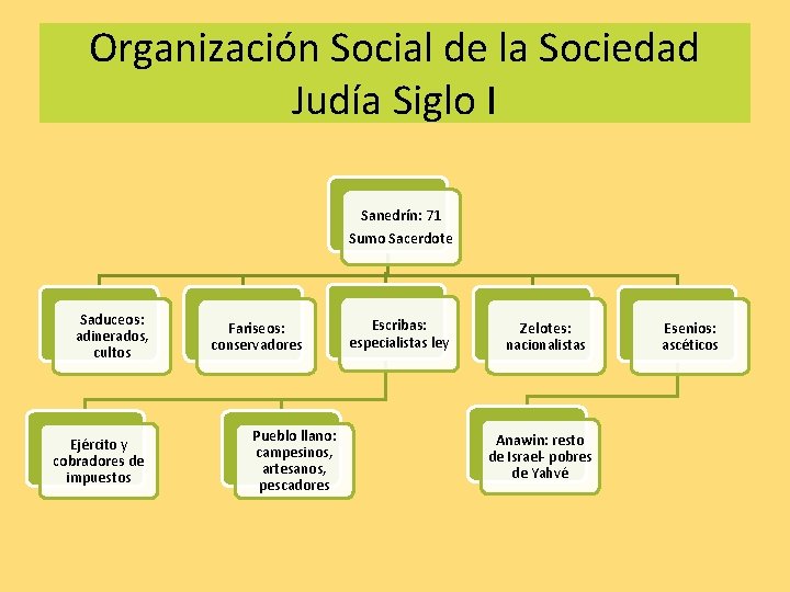 Organización Social de la Sociedad Judía Siglo I Sanedrín: 71 Sumo Sacerdote Saduceos: adinerados, Organización Social de la Sociedad Judía Siglo I Sanedrín: 71 Sumo Sacerdote Saduceos: adinerados,