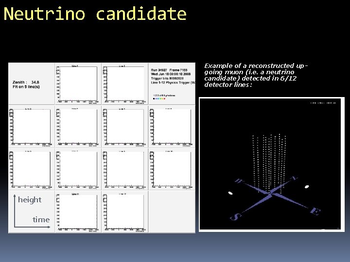 Neutrino candidate Example of a reconstructed upgoing muon (i. e. a neutrino candidate) detected