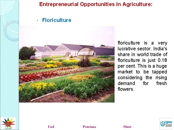 Entrepreneurial Opportunities in Agriculture: • Floriculture floriculture is a very lucrative sector. India's share