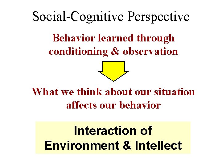 Social-Cognitive Perspective Behavior learned through conditioning & observation What we think about our situation