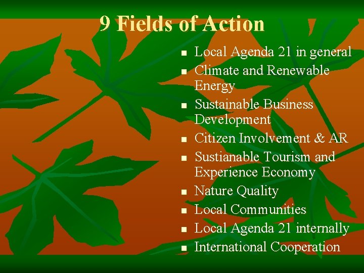 9 Fields of Action n n n n Local Agenda 21 in general Climate