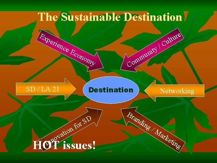 The Sustainable Destination Ex per ien ce e r u lt nom y u