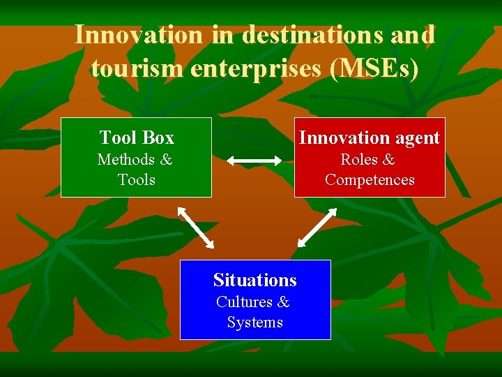 Innovation in destinations and tourism enterprises (MSEs) Tool Box Innovation agent Methods & Tools