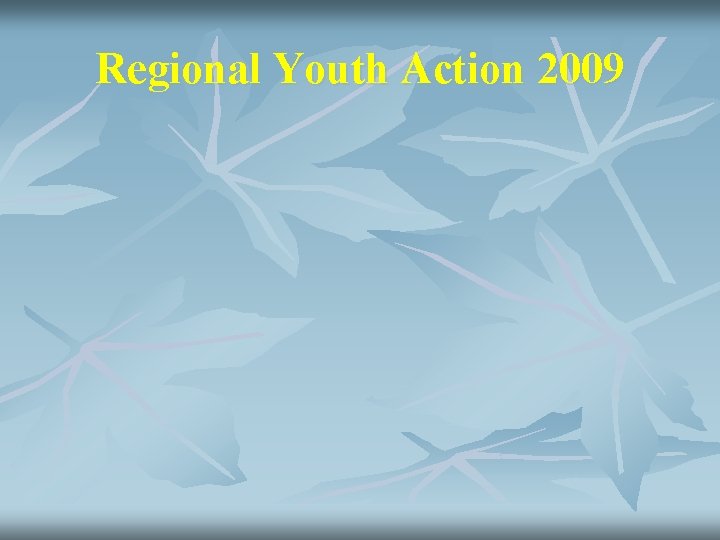 Regional Youth Action 2009 