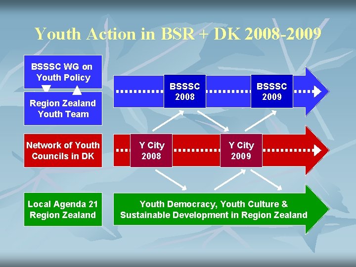 Youth Action in BSR + DK 2008 -2009 BSSSC WG on Youth Policy BSSSC