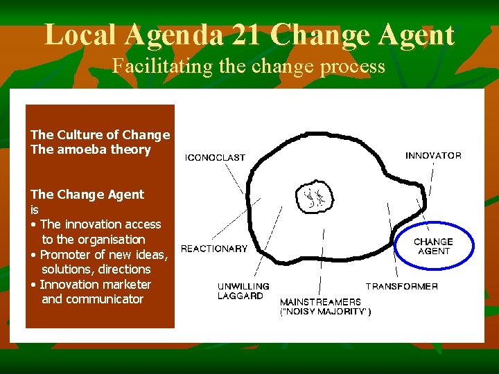 Local Agenda 21 Change Agent Facilitating the change process The Culture of Change The