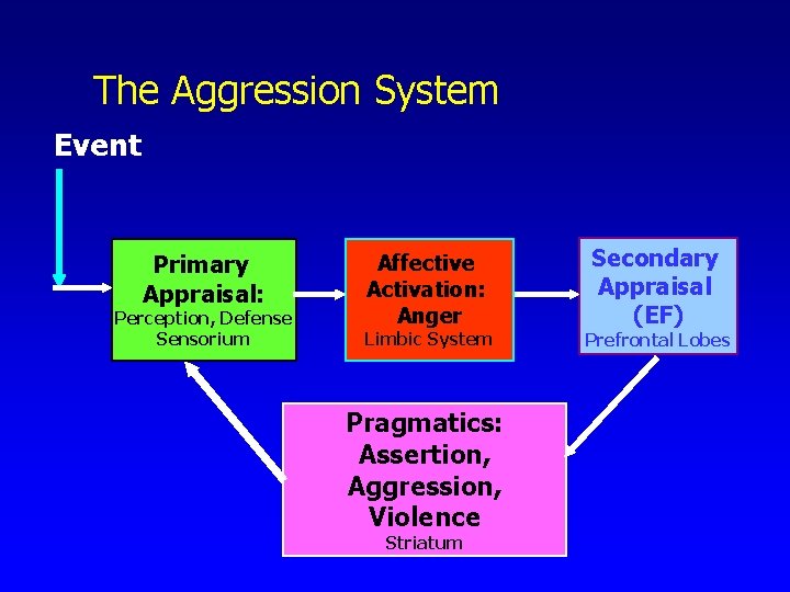The Aggression System Event Primary Appraisal: Perception, Defense Sensorium Affective Activation: Anger Limbic System