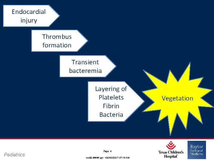 Endocardial injury Thrombus formation Transient bacteremia Layering of Platelets Fibrin Bacteria Pediatrics Page 4 Endocardial injury Thrombus formation Transient bacteremia Layering of Platelets Fibrin Bacteria Pediatrics Page 4