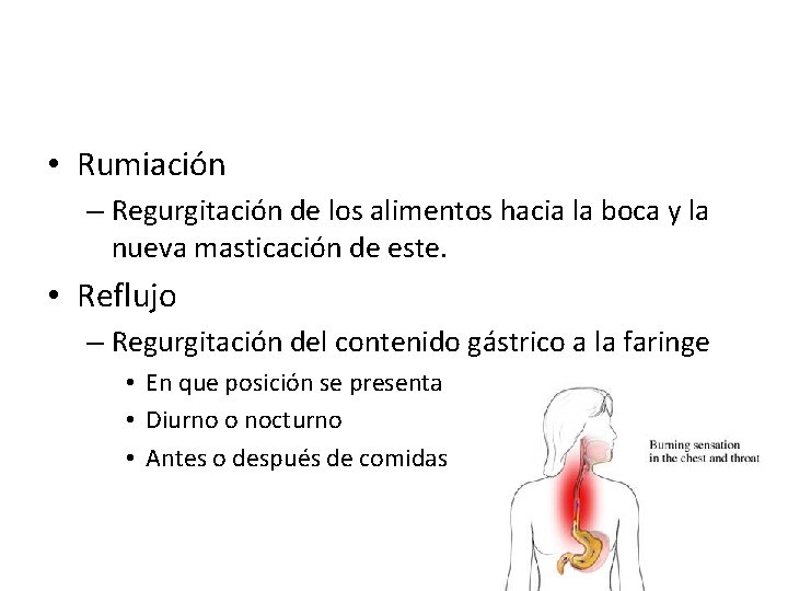  • Rumiación – Regurgitación de los alimentos hacia la boca y la nueva