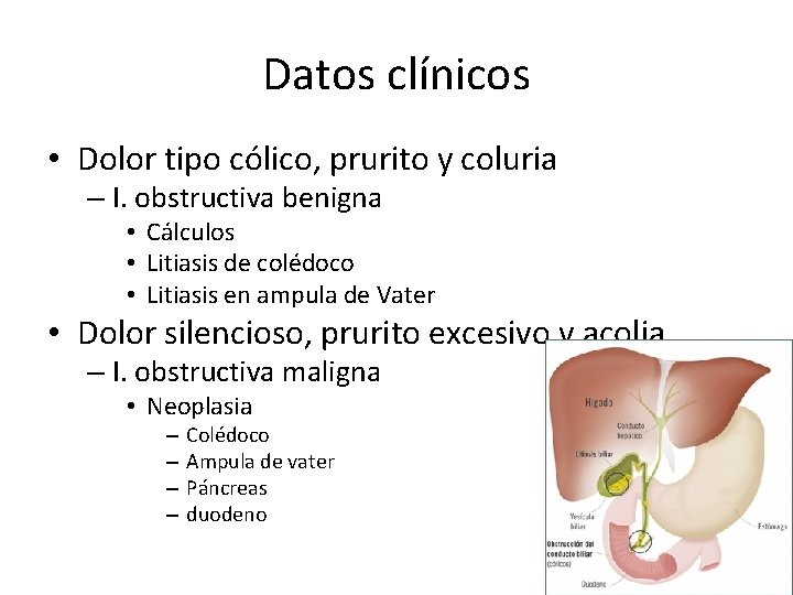 Datos clínicos • Dolor tipo cólico, prurito y coluria – I. obstructiva benigna •