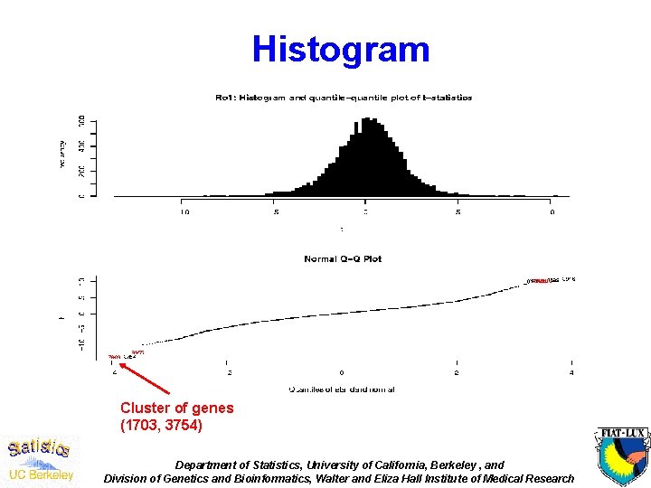 Histogram Cluster of genes (1703, 3754) Department of Statistics, University of California, Berkeley ,