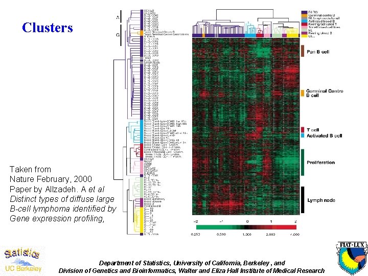 Clusters Taken from Nature February, 2000 Paper by Allzadeh. A et al Distinct types