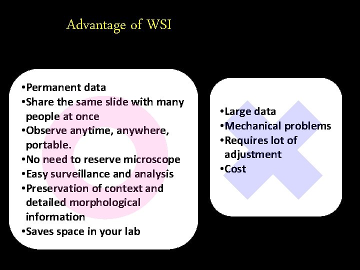 Advantage of WSI • Permanent data • Share the same slide with many people
