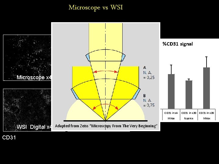 Microscope vs WSI %CD 31 signal 35 30 25 Microscope x 4 Microscope x