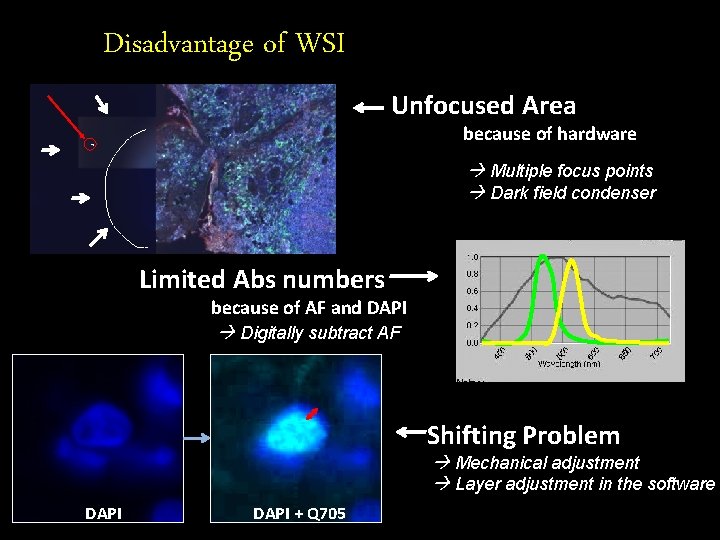 Disadvantage of WSI Unfocused Area because of hardware Multiple focus points Dark field condenser