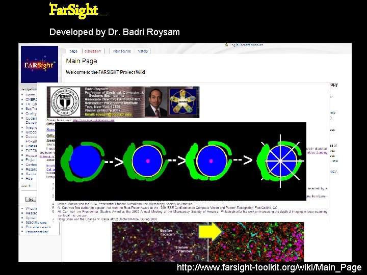 Far. Sight__ Developed by Dr. Badri Roysam http: //www. farsight-toolkit. org/wiki/Main_Page 