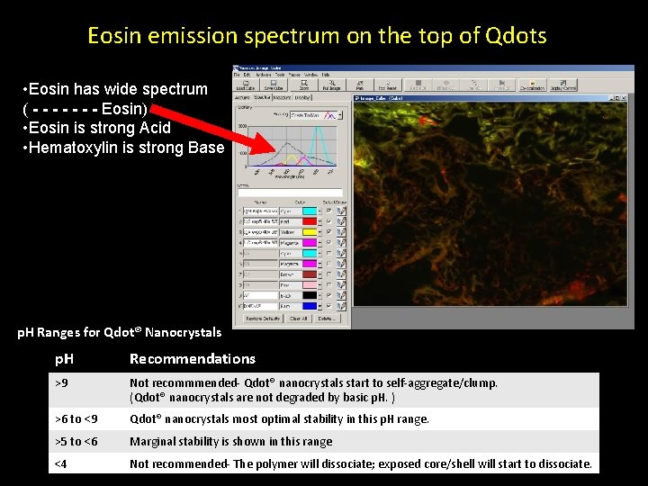 Eosin emission spectrum on the top of Qdots • Eosin has wide spectrum (