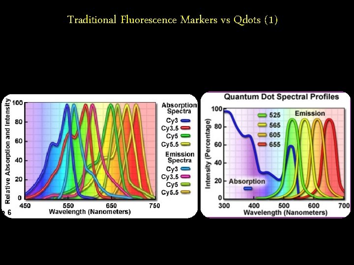 Traditional Fluorescence Markers vs Qdots (1) 