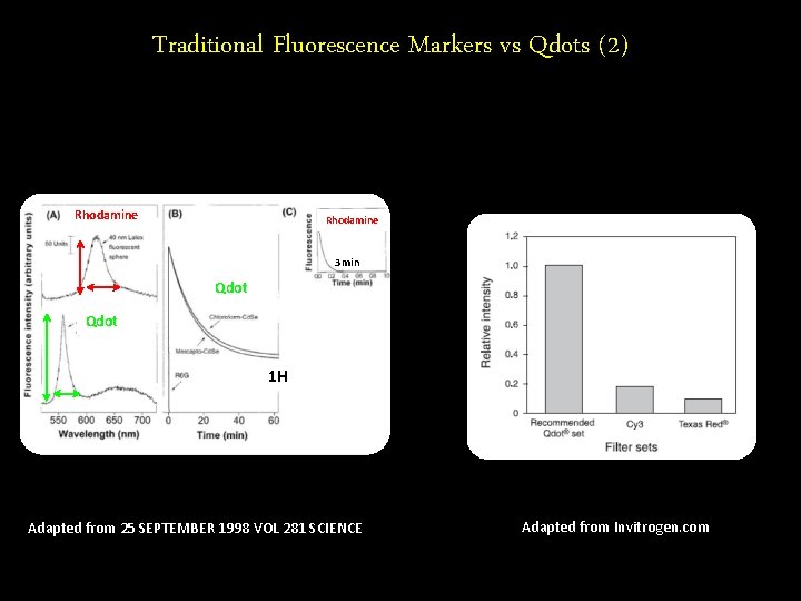 Traditional Fluorescence Markers vs Qdots (2) Rhodamine 3 min Qdot 1 H Adapted from