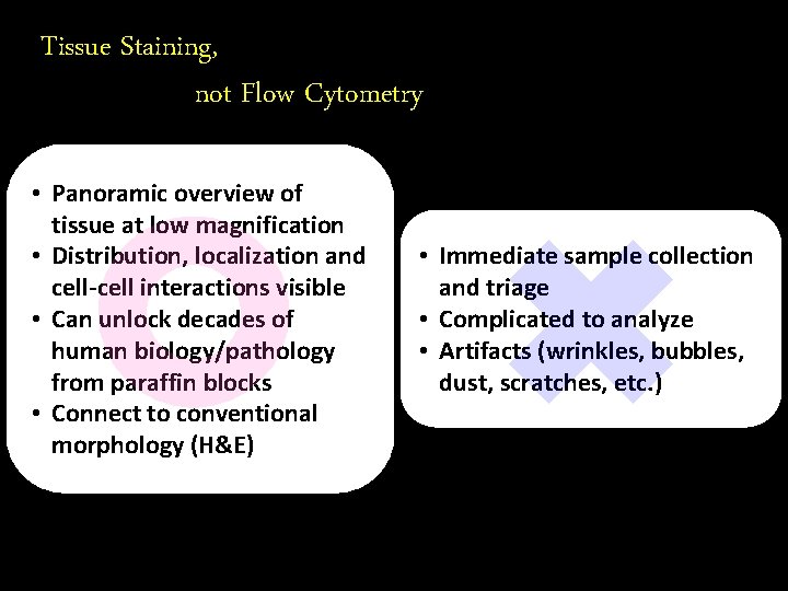 Tissue Staining, not Flow Cytometry • Panoramic overview of tissue at low magnification •