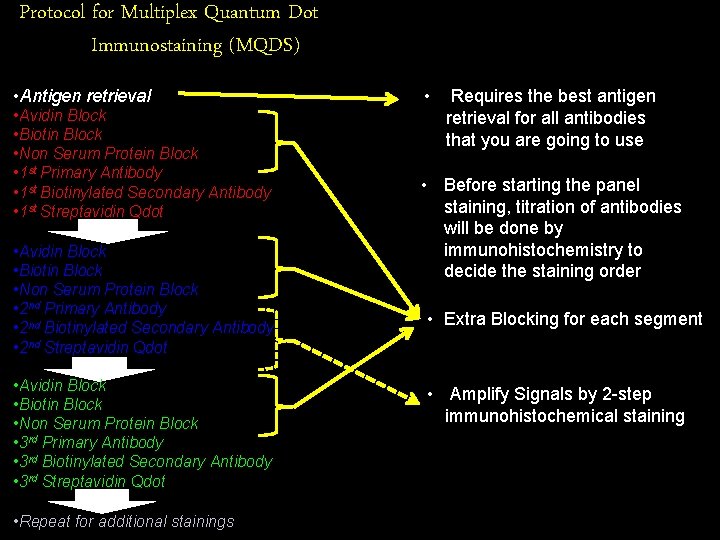 Protocol for Multiplex Quantum Dot Immunostaining (MQDS) • Antigen retrieval • Avidin Block •