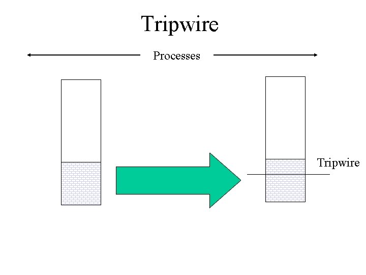Tripwire Processes Tripwire 