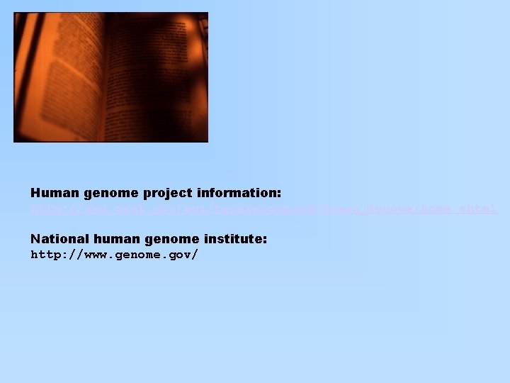 Human genome project information: http: //www. ornl. gov/sci/techresources/Human_Genome/home. shtml National human genome institute: http: