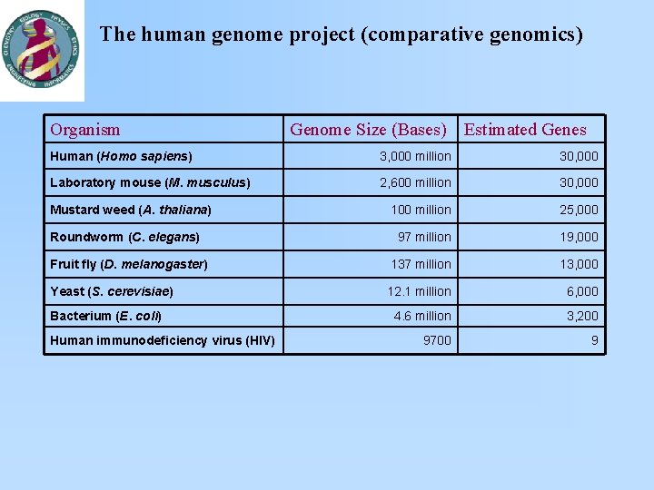 The human genome project (comparative genomics) Organism Genome Size (Bases) Estimated Genes Human (Homo