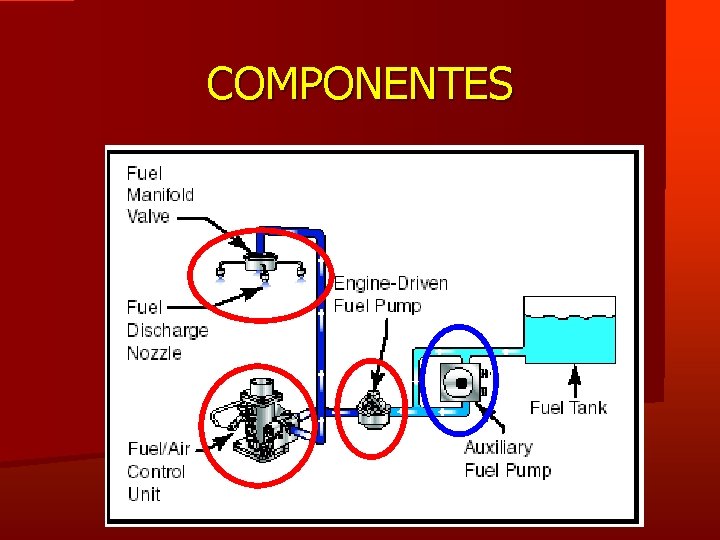 COMPONENTES 