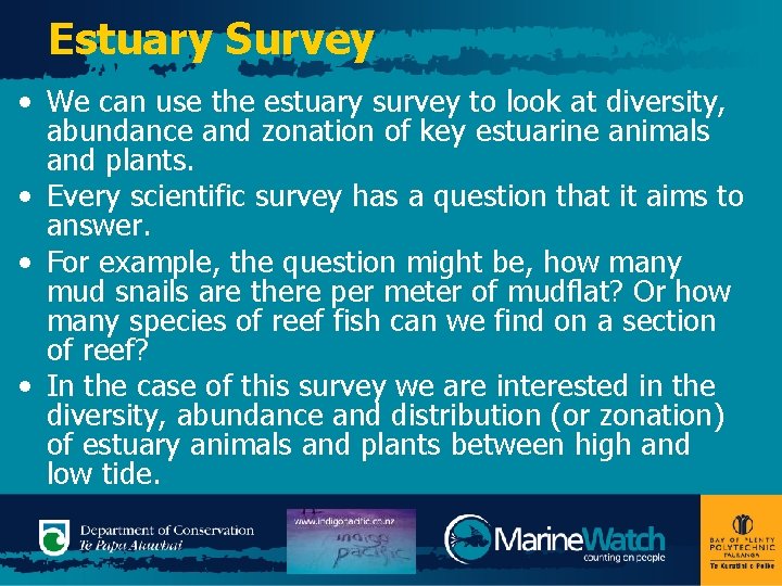 Estuary Survey • We can use the estuary survey to look at diversity, abundance