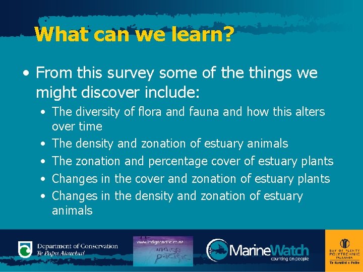 What can we learn? • From this survey some of the things we might