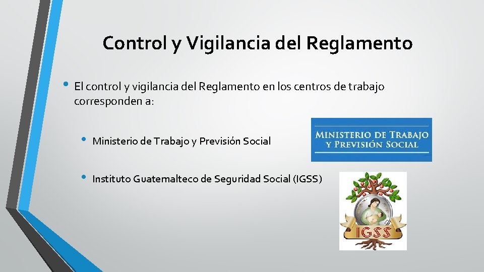 Control y Vigilancia del Reglamento • El control y vigilancia del Reglamento en los